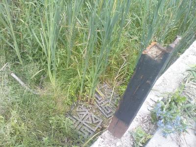 Прикрепленное изображение: река.jpg